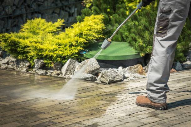 Best Soft Washing  in Coral Hills, MD