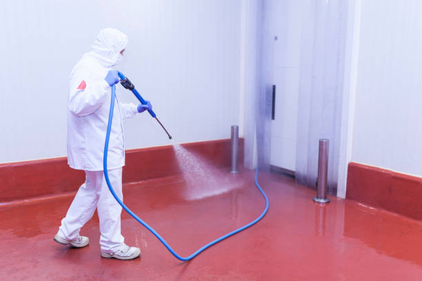 Best Graffiti Removal  in Coral Hills, MD