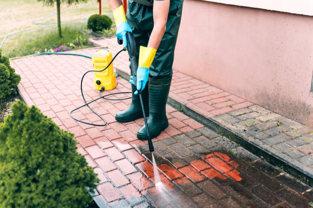 Best Solar Panel Cleaning  in Coral Hills, MD